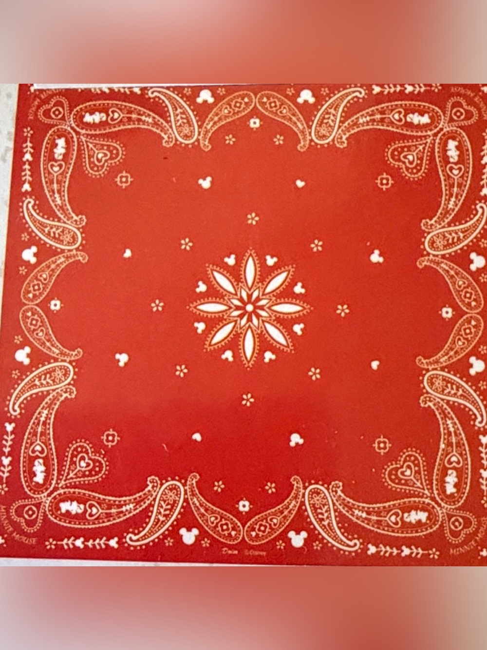 Red Bandana Minnie Mouse themed
